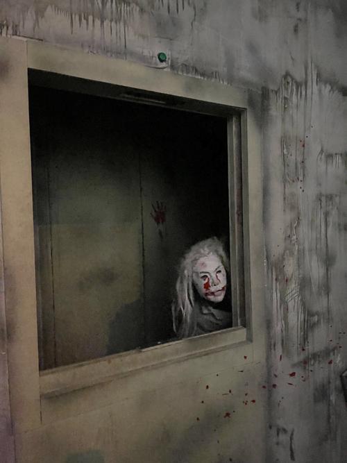 探索“屋内有鬼最新”的奇幻与魅力