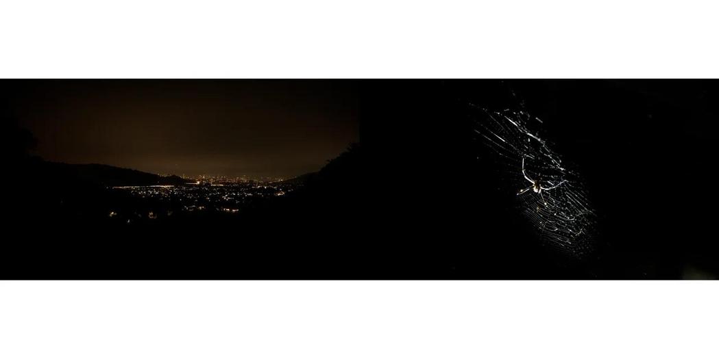 探索夜行版本大全：黑暗中绽放的绅士魅力