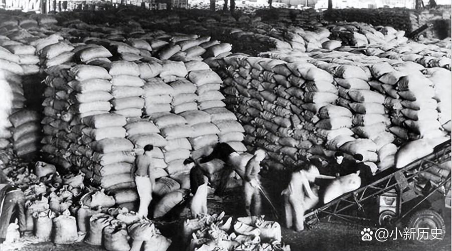 在困难时期中的解压良药：游戏的独特魅力