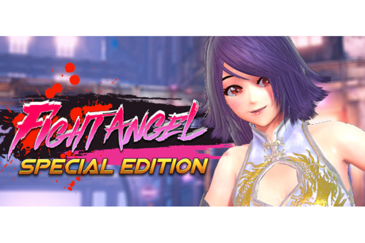 格斗天使版本大全的核心价值与使用方法