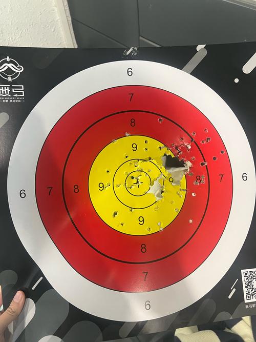 探索淘气之轮：一场引人入胜的游戏体验