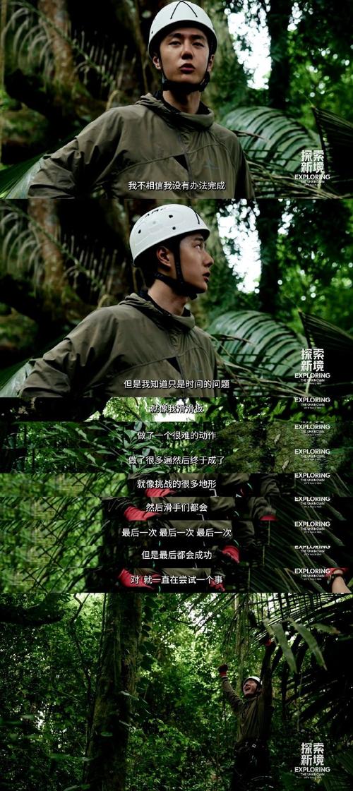 在《勇气之爱》中征服挑战：全面攻略解析
