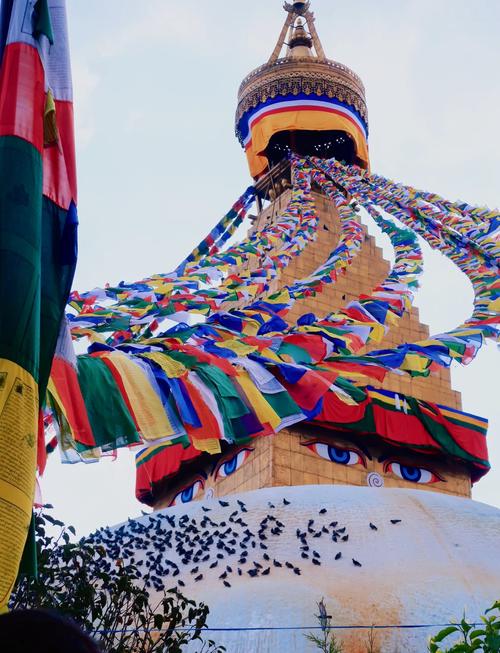 探索“祈愿之旅”的华丽世界：安卓汉化版详解