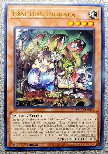 探索青楼之王汉化版最新更新内容的魅力