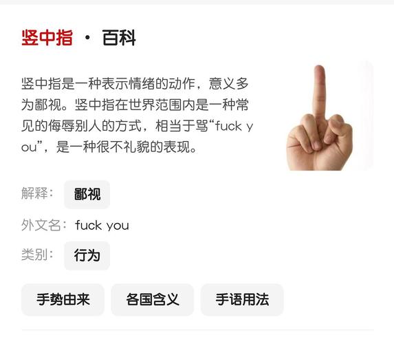 揭开中指通版本大全的迷雾:探索各种版本的魅力