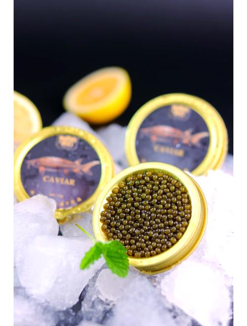 探索鱼子酱下载地址的秘密：绅士游戏的独特魅力