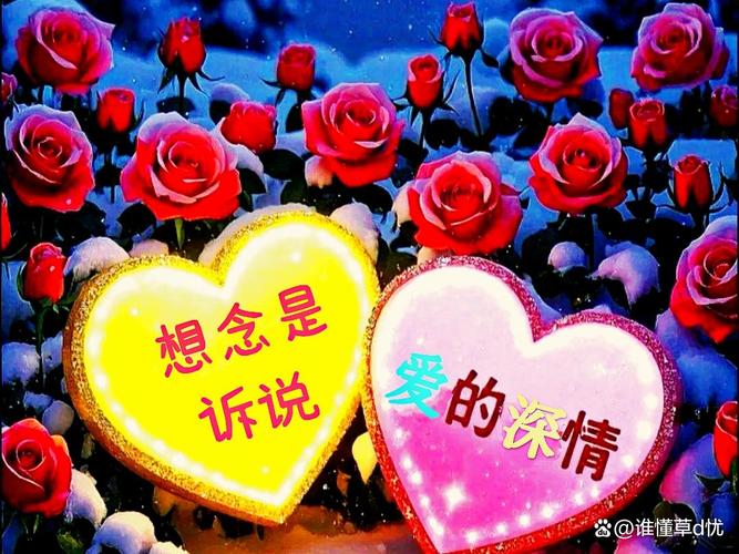 探索“爱相思”的魅力与下载地址