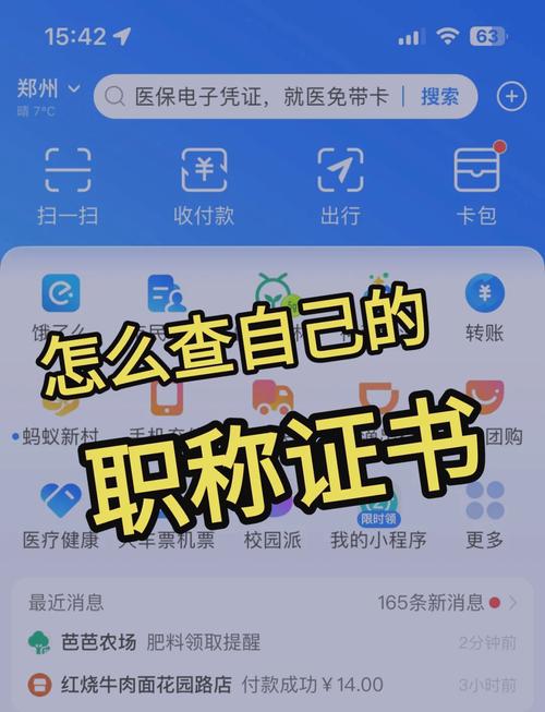 如何查询《继任者》最新版本及更新方法详解