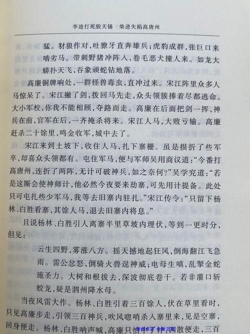 探秘《水浒2》：重温经典的江湖人生