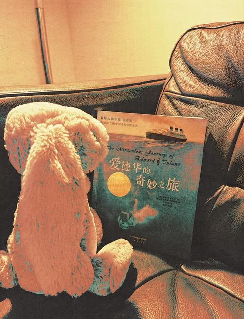 探索“祈愿之旅”的华丽世界：安卓汉化版详解