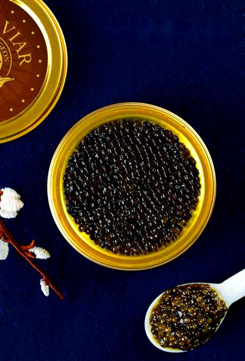 探索鱼子酱最新版本:绅士游戏中的美味盛宴