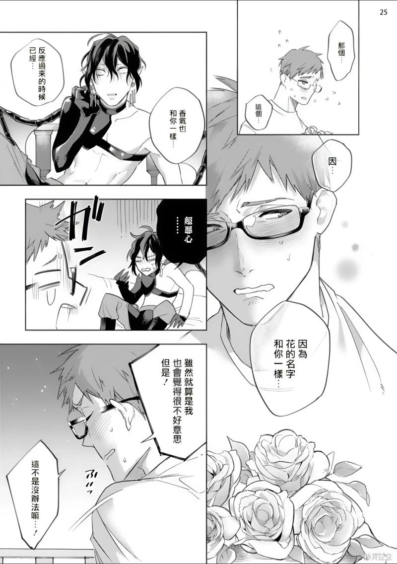 大兄弟精翻官网：绅士游戏翻译质量的深度分析