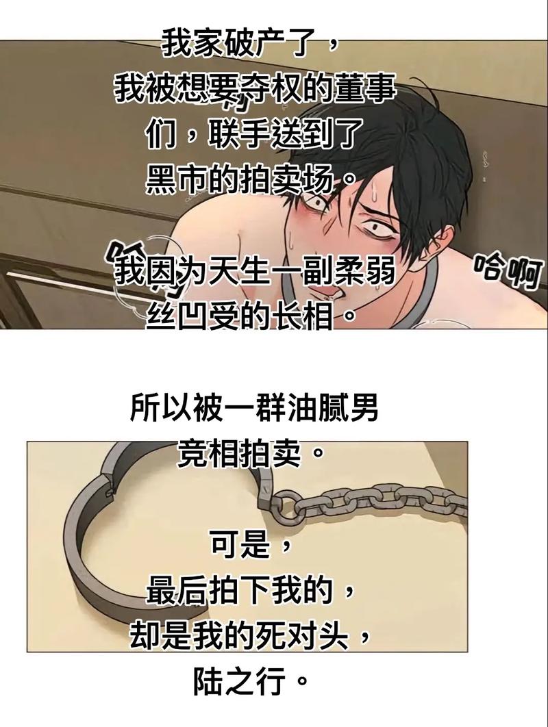 深入解析家庭迷恋汉化版的魅力与挑战