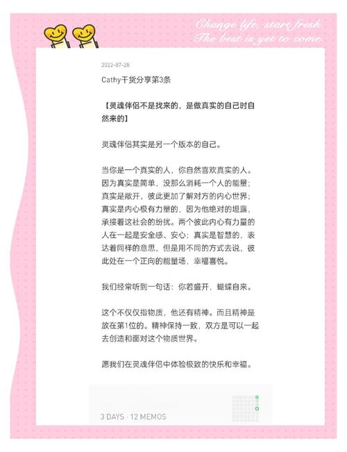 灵魂伴侣更新日志深度分析：影响与展望