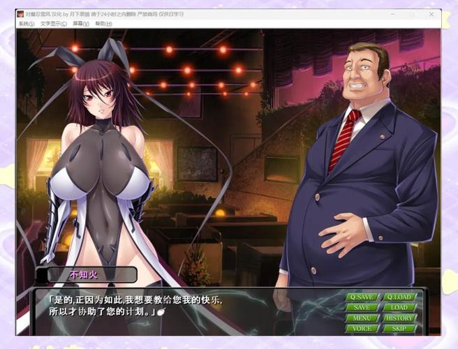 对魔忍雪风：深度解析与游戏特色分析