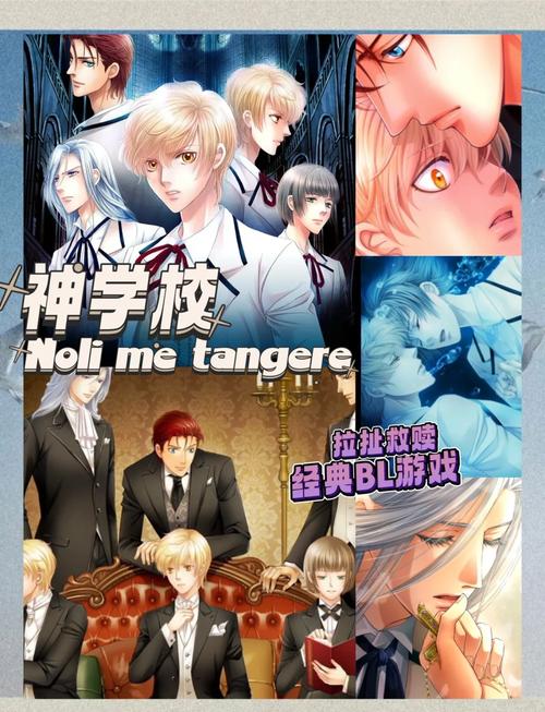 问题大学游戏官网：深度分析与发展前景