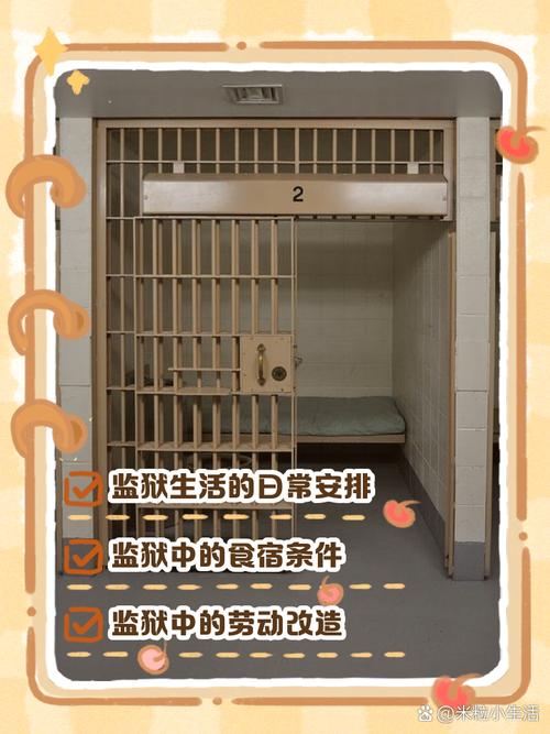 骚扰监狱版本大全:探索绅士游戏中的多元玩法与深层机制