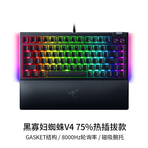 如何获取寡妇的偏远客栈最新版本：详细教程