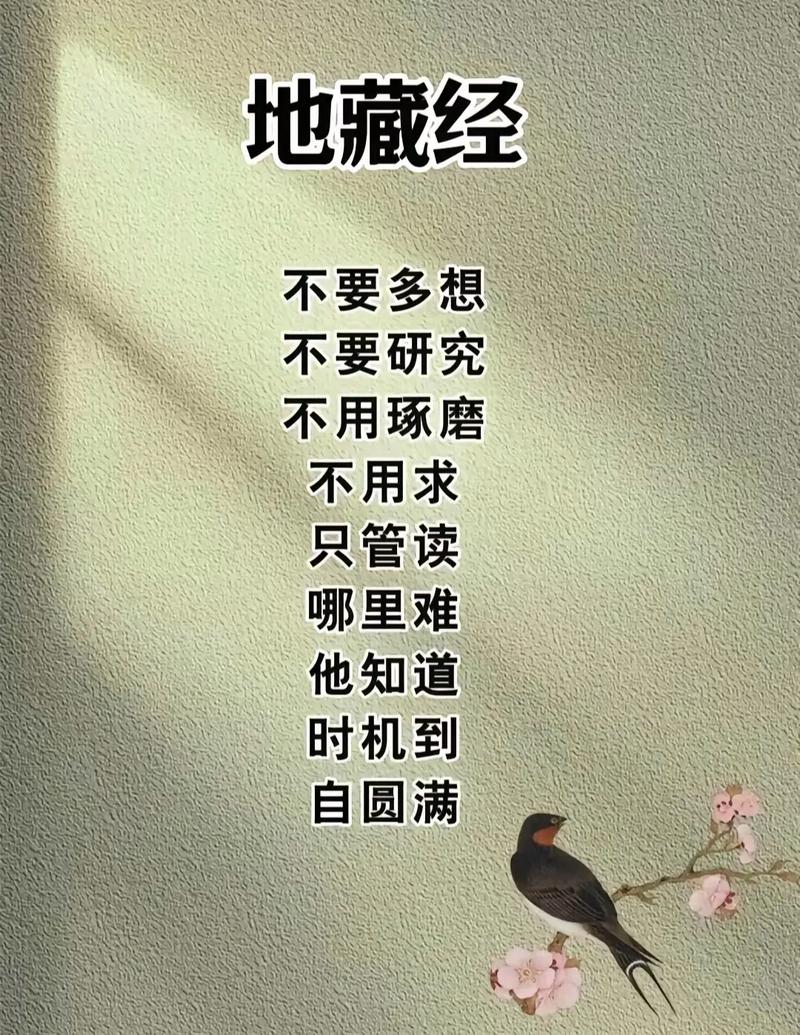 探索“生活的回报”：下载与体验的全新视角