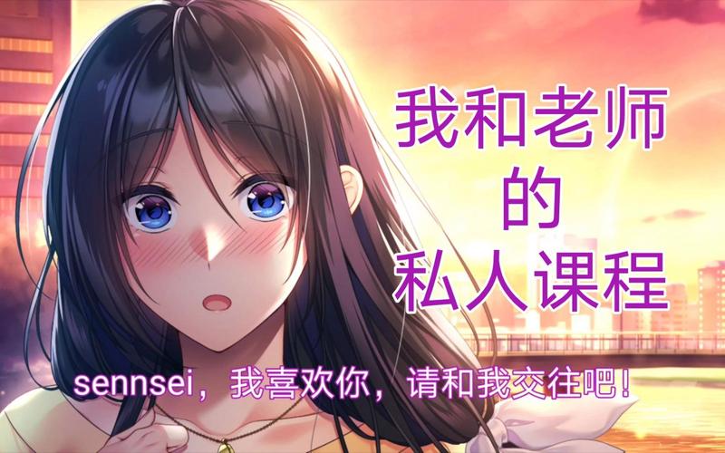我与老师的私人课程游戏详细教程
