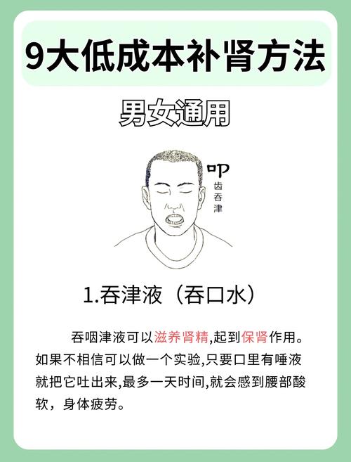如何有效使用若山先生的NTR教室官方网站:实用指南