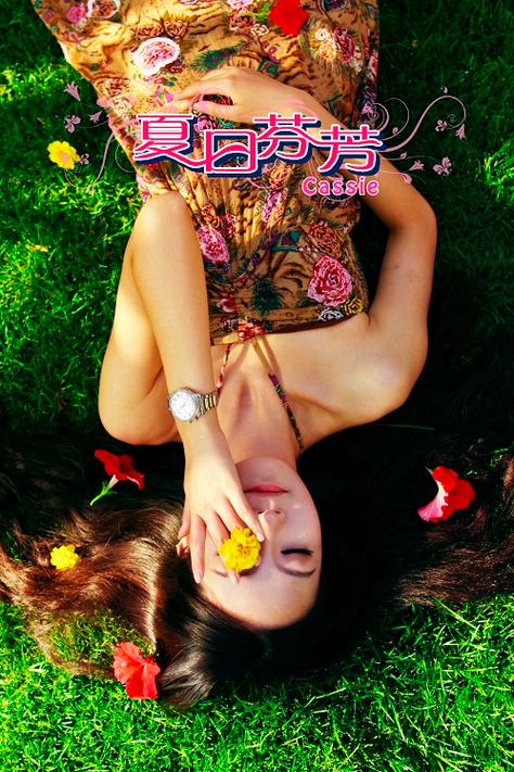 夏日芬芳汉化版下载:深度分析与实用指南