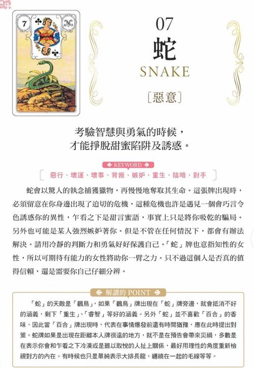 深入解析Rinapo最新版本：技术进步与玩家体验的完美融合