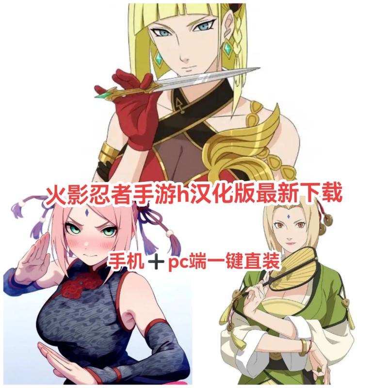 火影淫者游戏官网:绅士游戏的新兴力量分析