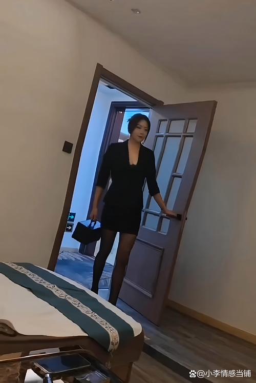 职场女友带回家：5dm游戏详尽介绍与实用攻略