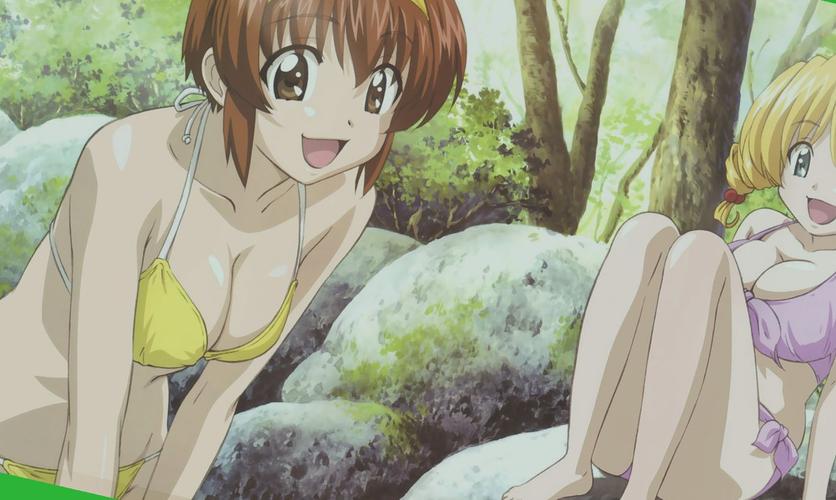 《爆汝太太的夏日生活杨过游戏》实用教程：畅享游戏乐趣的操作指南