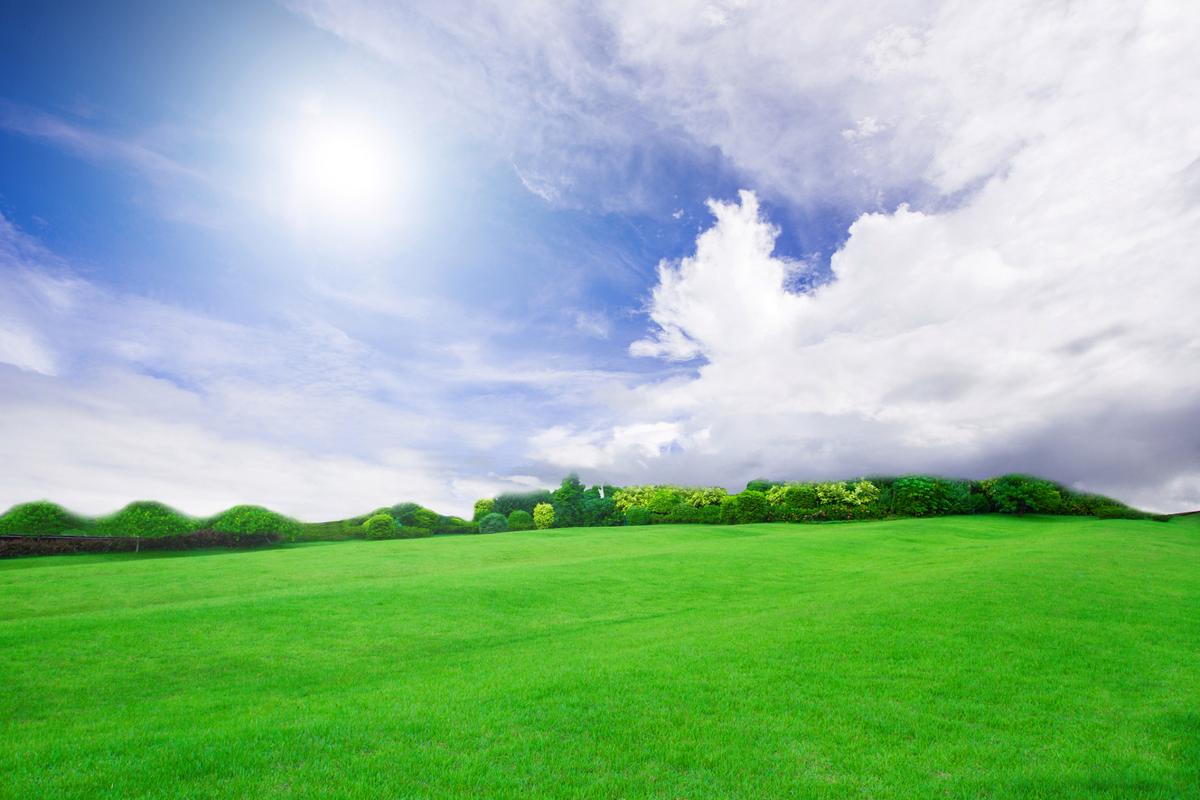 宁静草地的下载途径与安全性分析