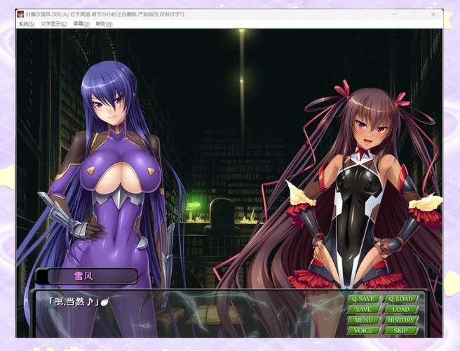 对魔忍雪风安卓汉化的深度分析与前景展望