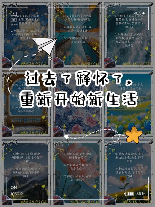 探索“我的新生活下载安卓”的多维度影响与体验分析