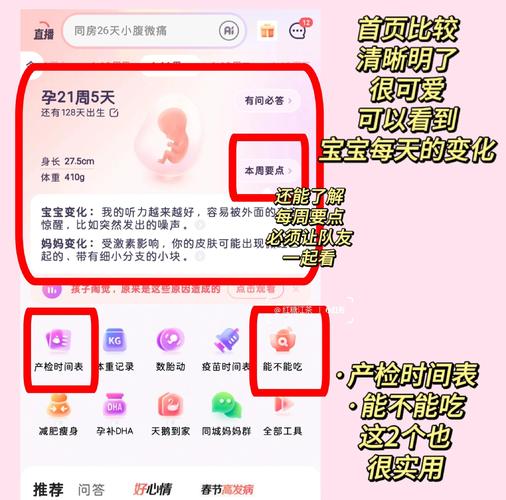 如何下载并安装《子产岛after 木乃美的柔软运动》游戏：新手实用教程