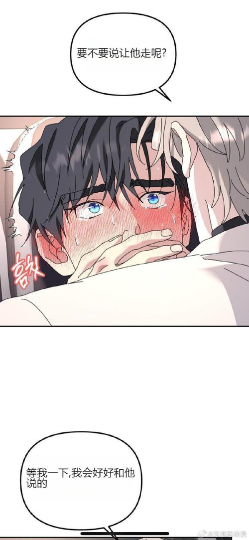 深度解析弘树NTR更新日志：技术进步与用户体验的双重提升