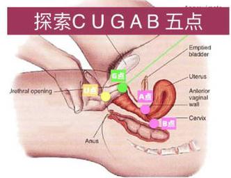 深入解析“涩豆豆 最新版本”:绅士游戏的创新与挑战