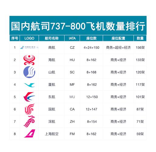 航空公司的官网：解析其在现代航空业中的关键角色