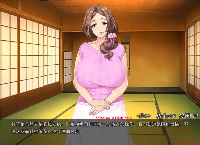 妃神会秘史汉化版最新更新内容深度分析