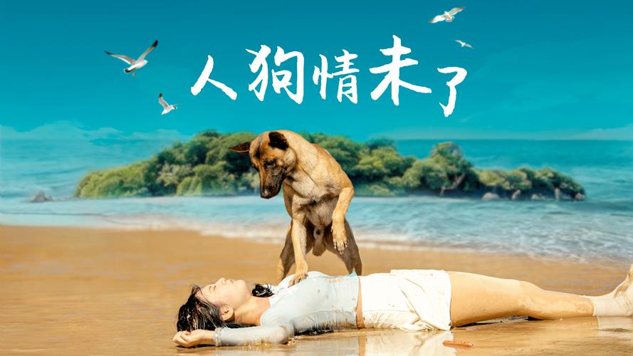 探秘《人狗情未了》的深层内涵与下载资源分析