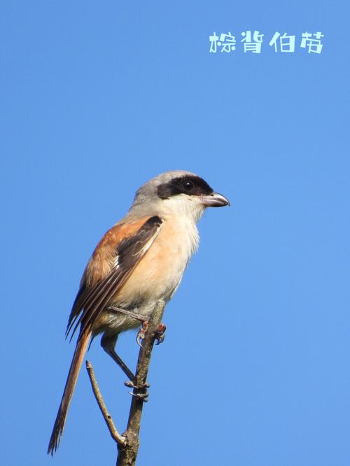 Xiangchuedge完整官网使用指南:新手必看教程