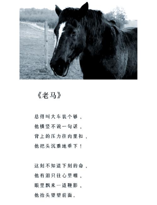 不知何故独来独往的玛蒂尔达小姐游戏详细教程