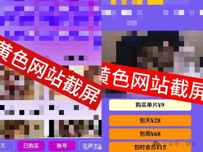 涩豆豆官方正式版下载最新版的深度分析与前景展望