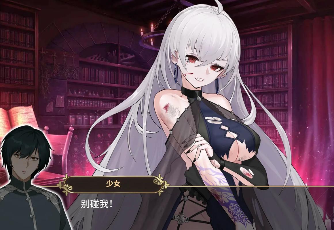 魔界少女与奴隶召唤术杨过游戏实用教程