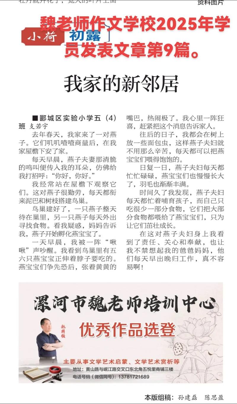 解析《我的新邻居》更新日志：新特性与游戏平衡的深度分析
