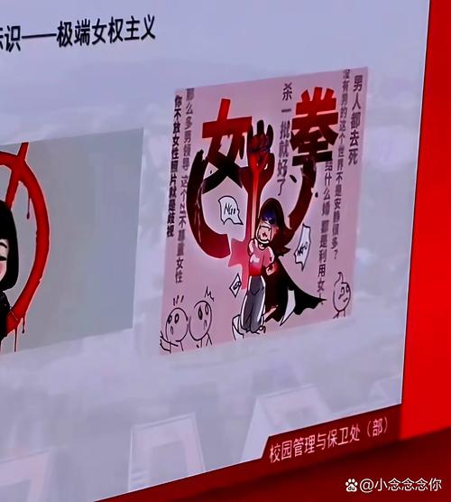 深度解析：女权大学安卓版本的崛起与意义